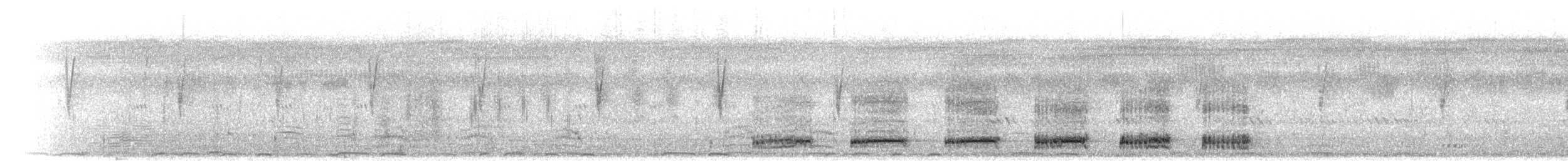 Francolín de Swainson - ML275071