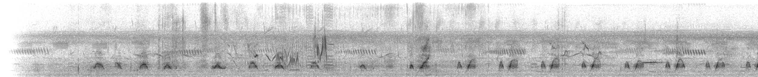 Oie-armée de Gambie - ML275110