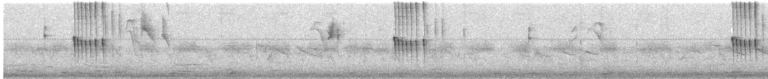 Weißscheitel-Kleintyrann (subcristata/straminea) - ML275143031