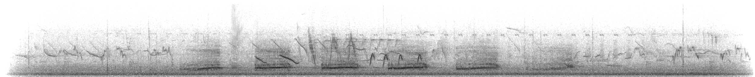 Francolín de Swainson - ML275151