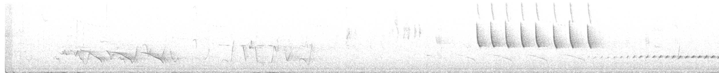 Mistletoebird - ML275153941