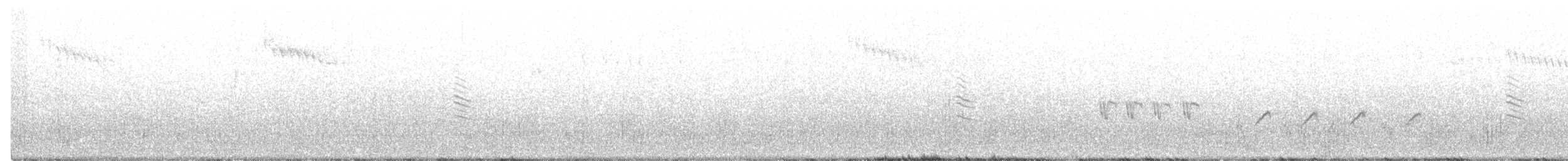 hvithodehonningskvett - ML275155311