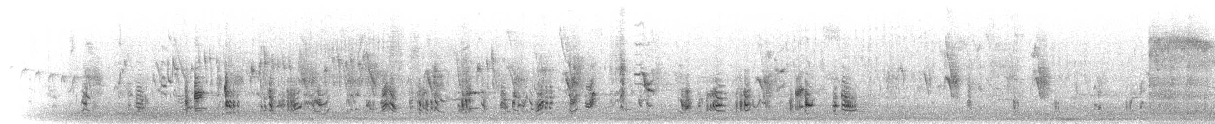 Rousserolle effarvatte (groupe baeticatus) - ML275171