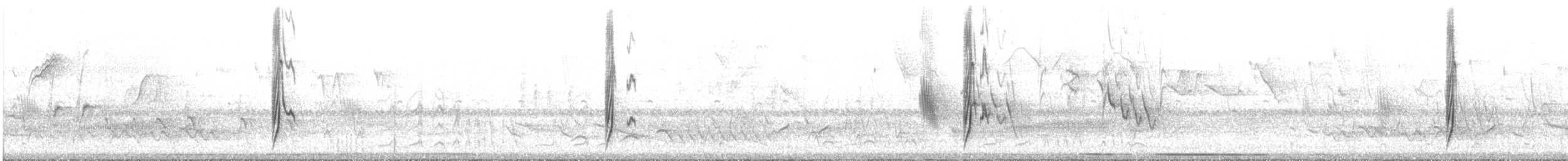 Çizgili Büyük Tiran - ML275229091