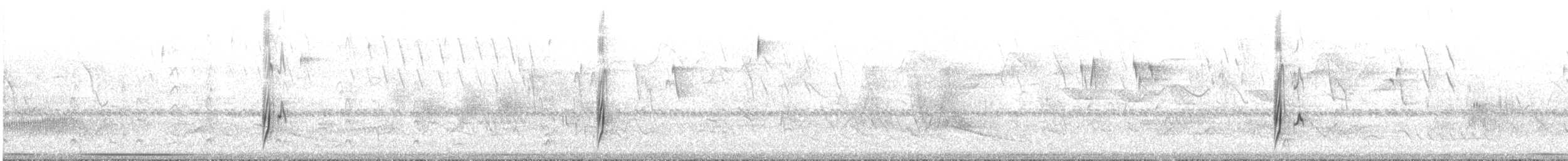 Süd-Fleckenmaskentyrann - ML275229101