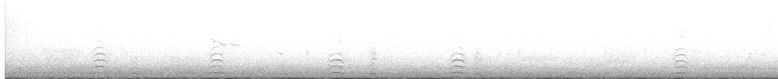 Cisne Chico (neártico) - ML275240191