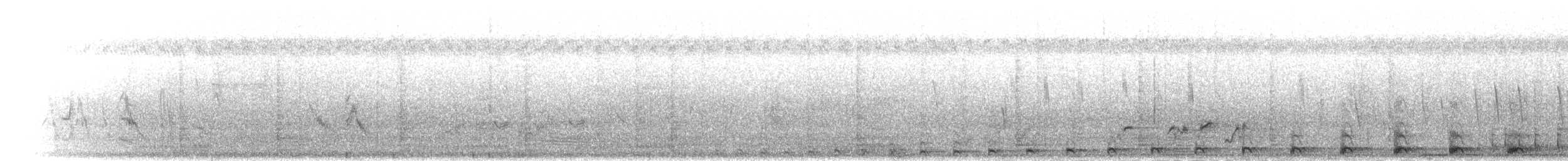 turako lesklohlavý - ML275302