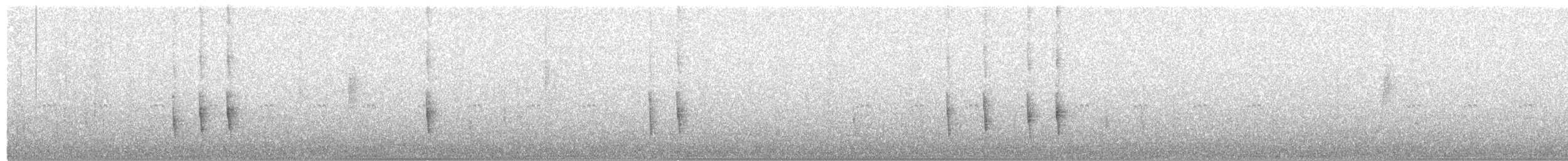 Hermit Thrush (guttatus Group) - ML275304631