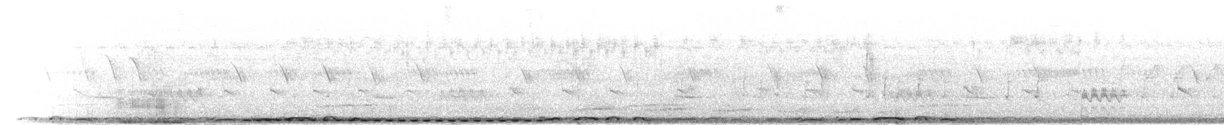 Cucal Cejiblanco (burchellii/fasciipygialis) - ML275316