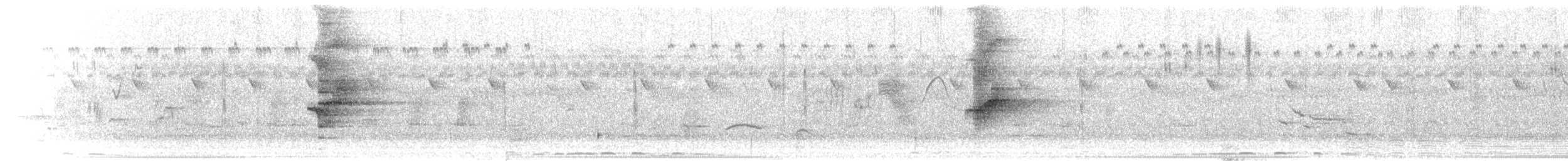 Lorito Cabecipardo - ML275318