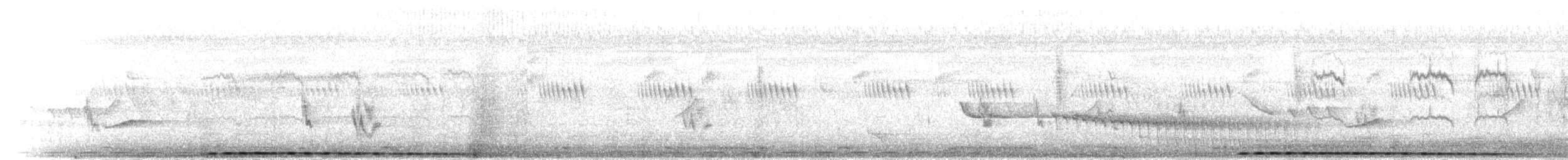 Cucal Cejiblanco (burchellii/fasciipygialis) - ML275357