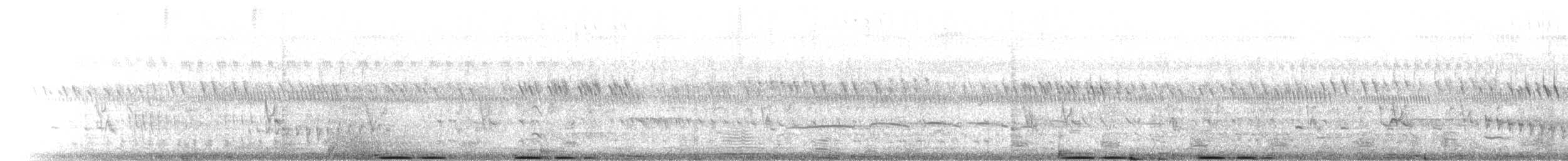 Southern Ground-Hornbill - ML275395