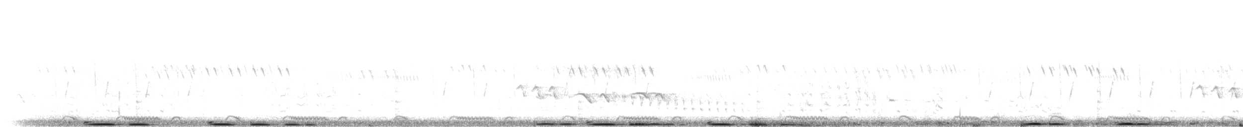 Southern Ground-Hornbill - ML275396