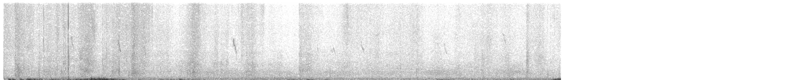 White Wagtail - ML275402151