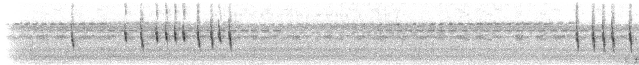 Long-tailed Widowbird - ML275467