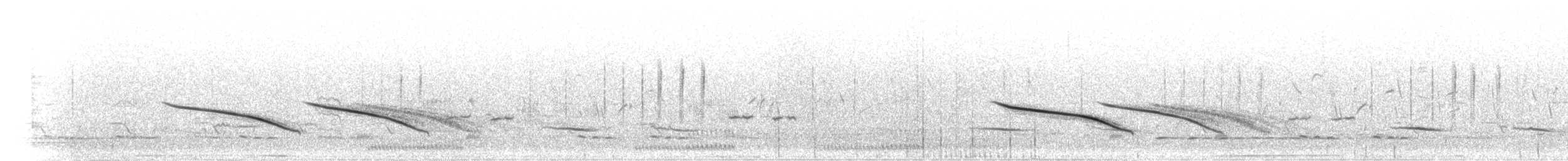 Eastern Long-billed Lark - ML275500