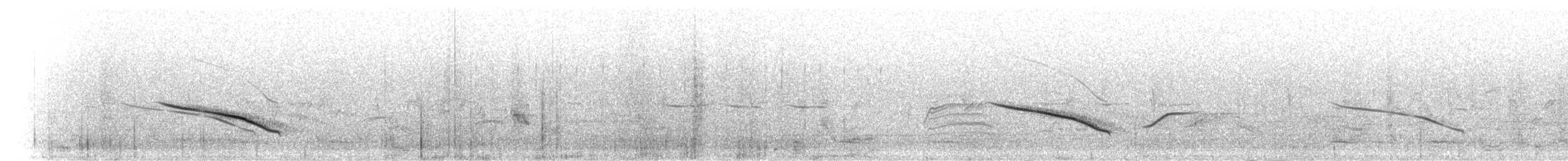 Eastern Long-billed Lark - ML275501