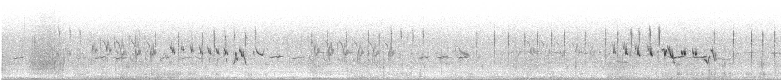 アフリカヒメコウテンシ - ML275518