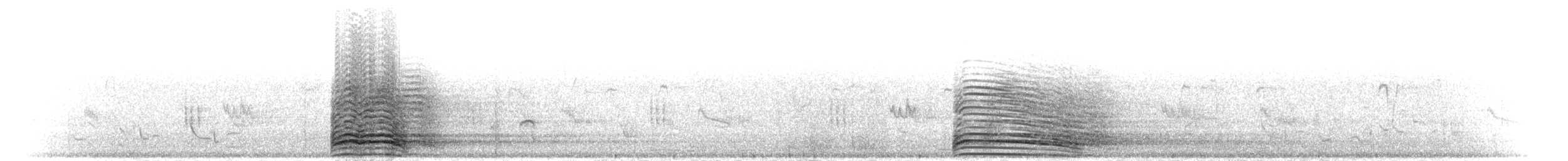 Hadada Ibis - ML275536