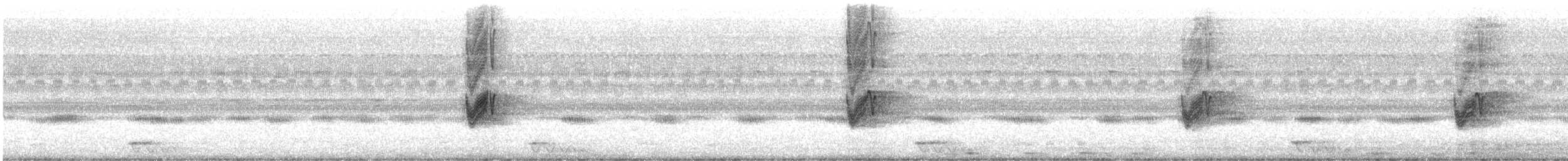 Savanna Nightjar - ML275545941