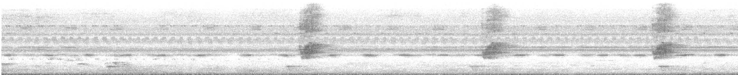 Savannennachtschwalbe - ML275546001