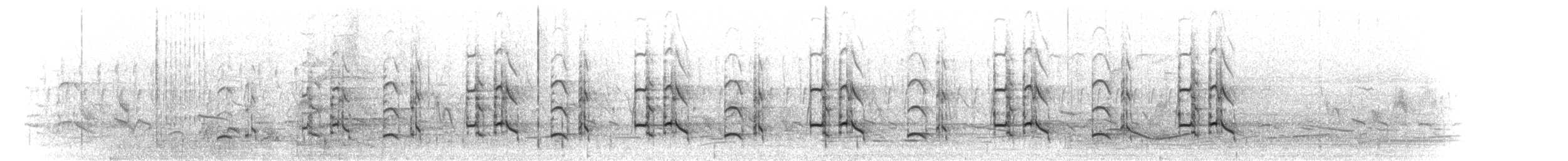 Francolín de Shelley (shelleyi) - ML275599