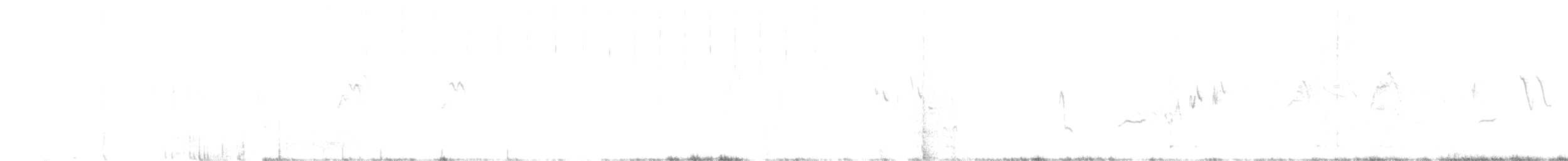 australlerke (javanica gr.) - ML275642381