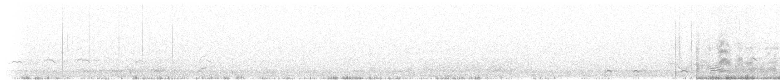 Бонапартова чайка - ML275649001