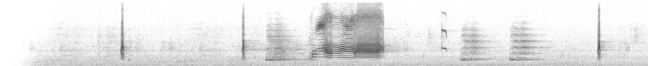 Al Kanatlı Karatavuk (californicus/mailliardorum) - ML275656981