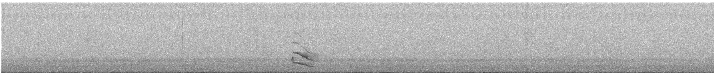 Australian Owlet-nightjar - ML275659271