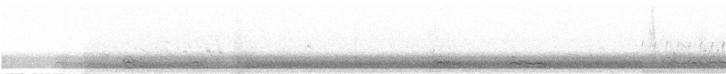 sjakalvåk - ML275694