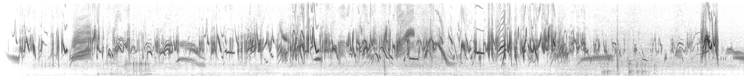 Yellow Canary - ML275704