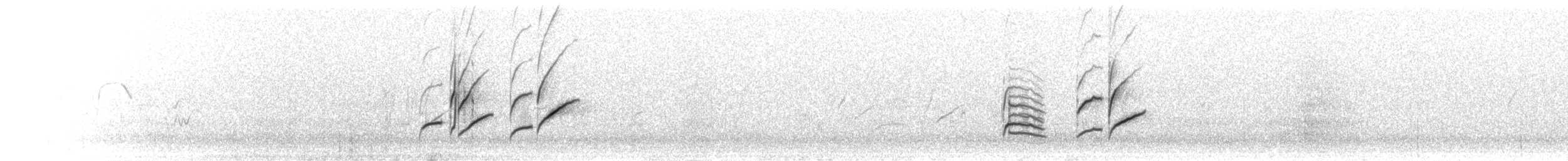Canario del Drakensberg - ML275710