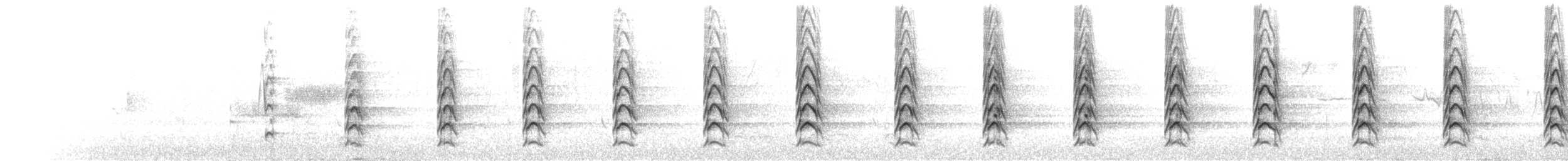 rødvingevåk (elegans) - ML275728501