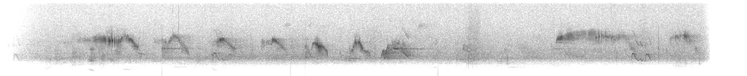 Martinet du Cap (groupe barbatus) - ML275746