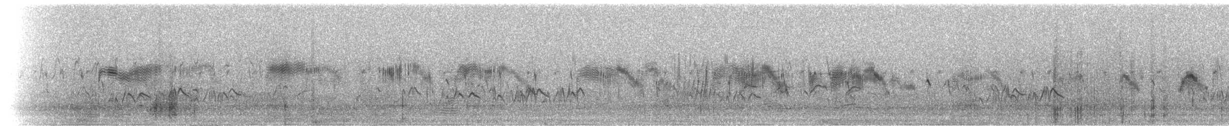 rorýs tmavoprsý [skupina barbatus] - ML275752