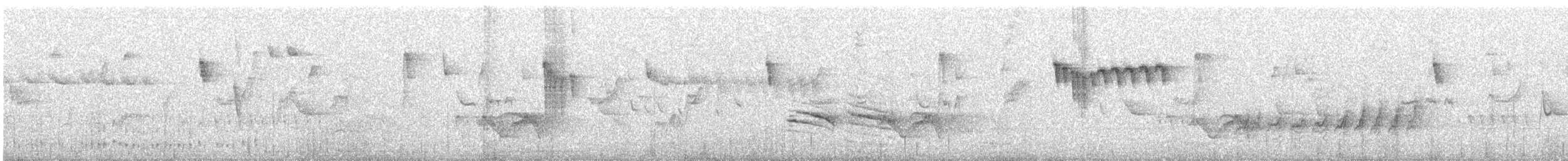 Orite à gorge blanche - ML275779261