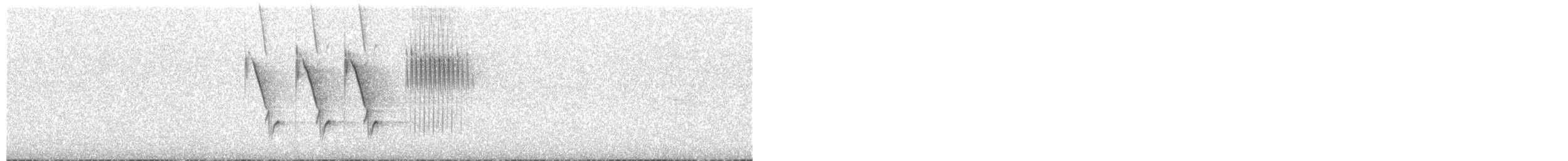 Тауї плямистий x окаї - ML275780071