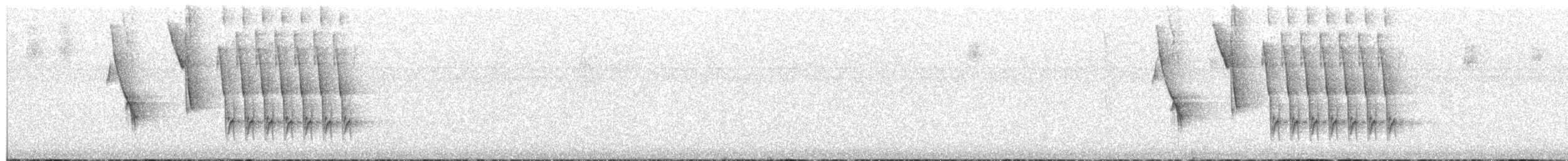 Тауї плямистий x окаї - ML275781121