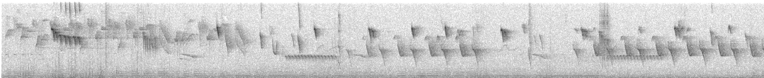 Orite à gorge blanche - ML275786091