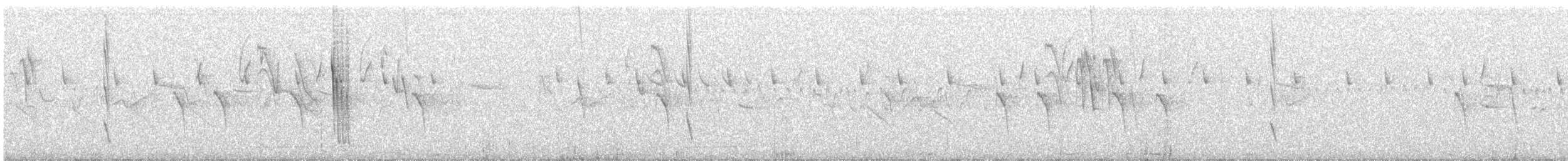 Orite à gorge blanche - ML275787911