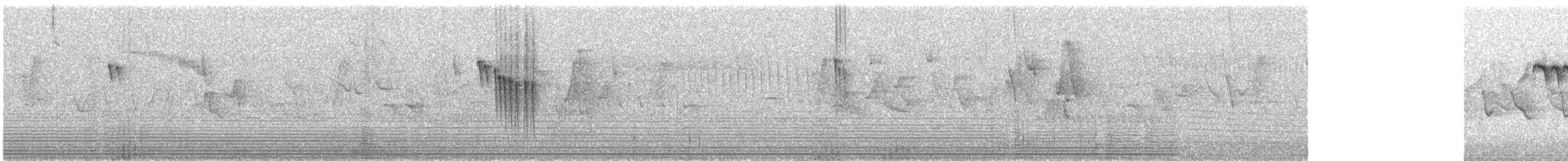 Orite à gorge blanche - ML275796251