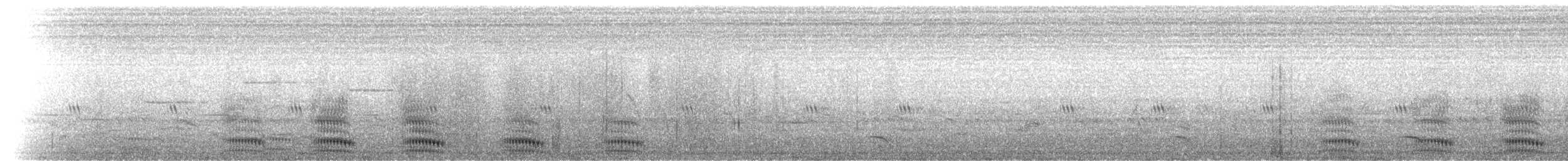 Corbeau à nuque blanche - ML275797