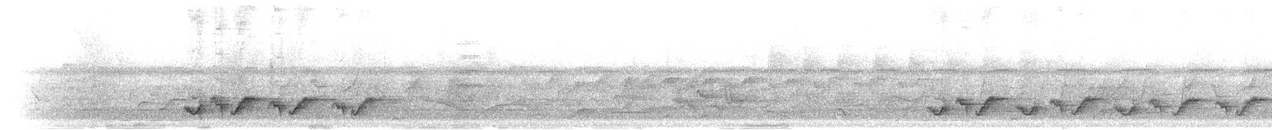 Кустарниковая славка-монашка - ML275812