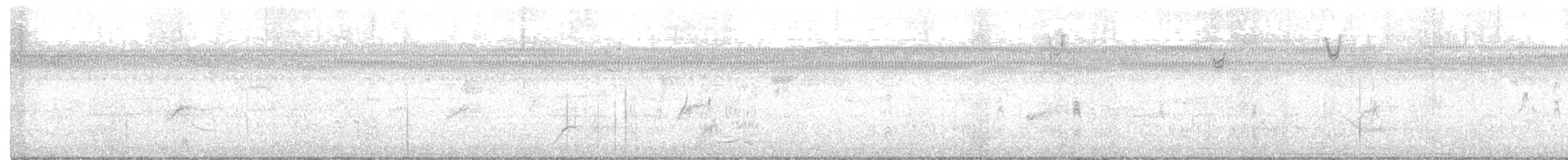 Бор шувууны багын тодорхойгүй зүйл - ML275837391