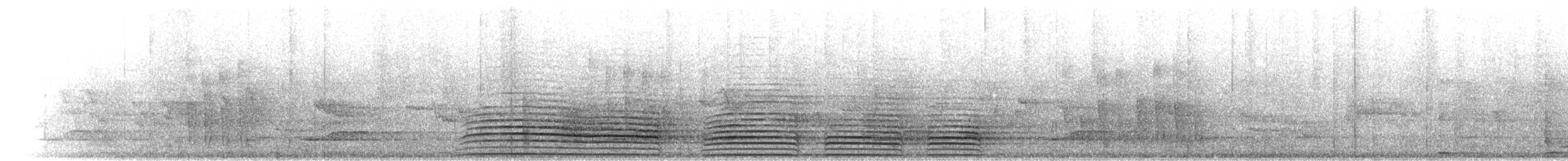 Calao trompette - ML275861