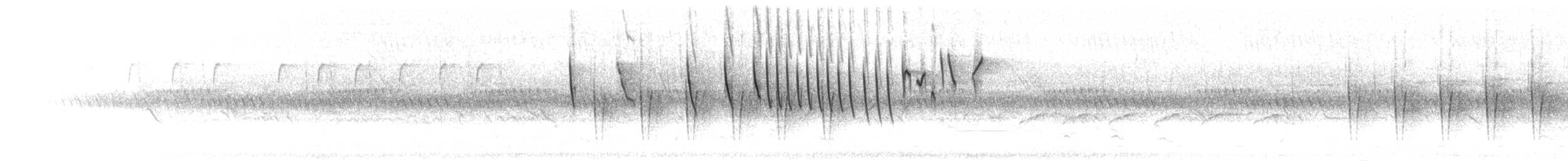 Zweiband-Nektarvogel - ML275938