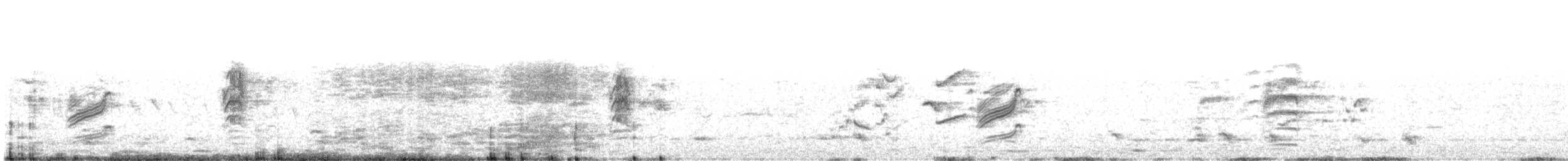 ウスズミモリツバメ - ML275941781