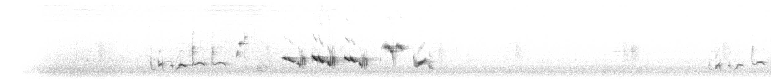 Cossyphe à gorge blanche - ML276009
