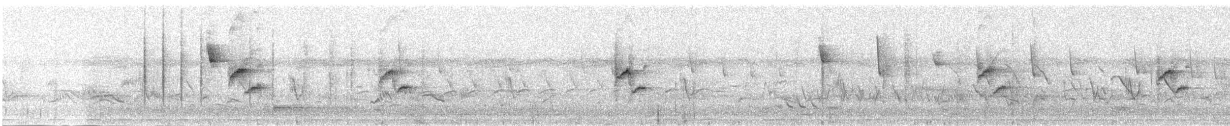 Ошейниковая нектарница - ML276017